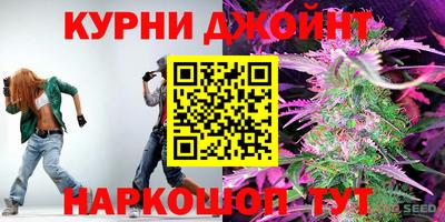 2c-b Кингисепп