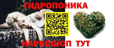 2c-b Кингисепп