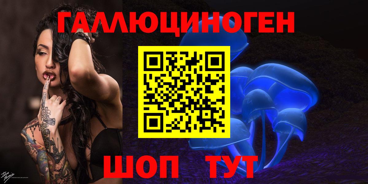 Галлюциногенные грибы MAGIC MUSHROOMS  Вход с VPN  Кудрово 